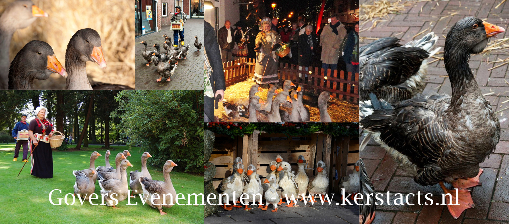 Ganzenhoedster, ganzenparade, levende kerststal verhuur, ganzenfanfare, kerstentertainment, winterentertainment, artiesten boeken, kerstacts, kerst, www.kerstacts.nl