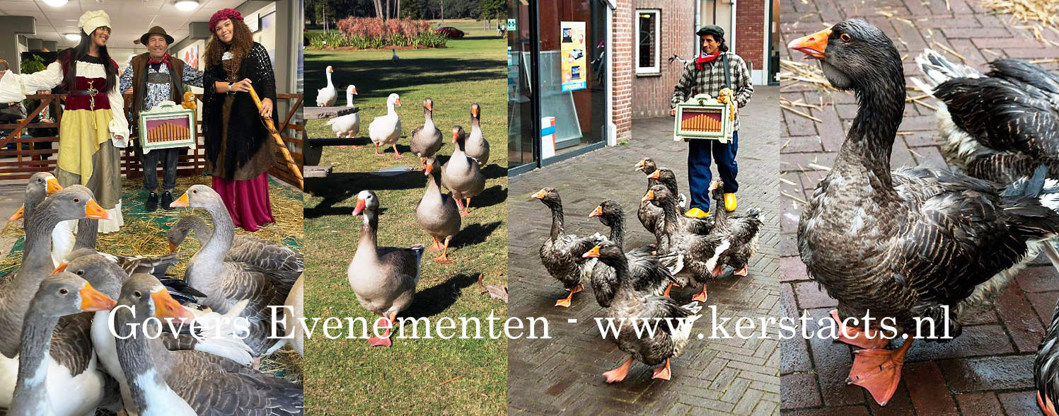 Ganzenhoedster, ganzenparade, levende kerststal verhuur, ganzenfanfare, kerstentertainment, winterentertainment, artiesten boeken, kerstacts, kerst, www.kerstacts.nl